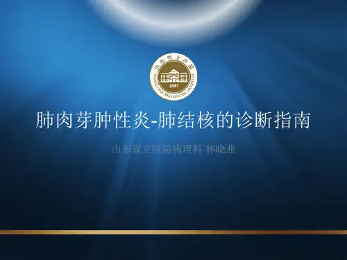 肺肉芽肿性炎和结核诊断指南