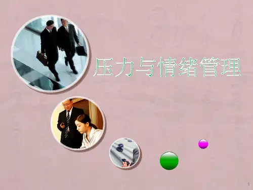 压力与情绪管理通用ppt课件