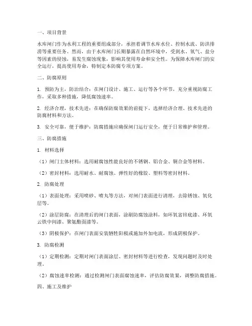 水库闸门防腐专项方案