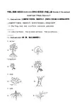 三年级上册英语一课一练Modue 4  Unit 3  Exercise 3   牛津上海版一起含答案上海版一起含解析