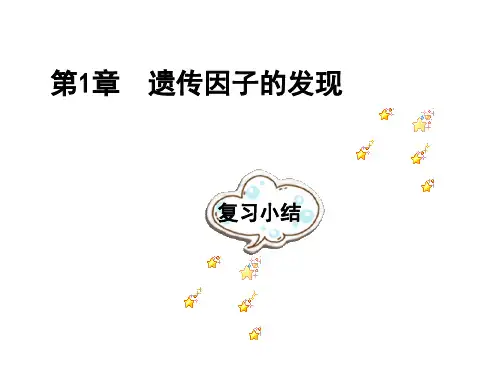 高中生物必修二第一章复习课件