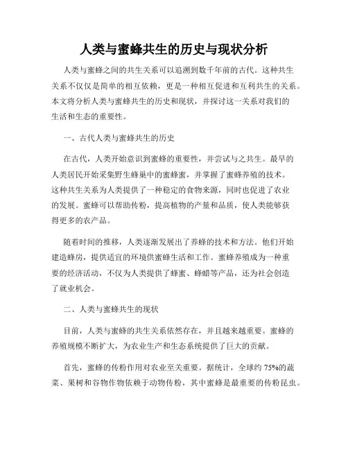 人类与蜜蜂共生的历史与现状分析