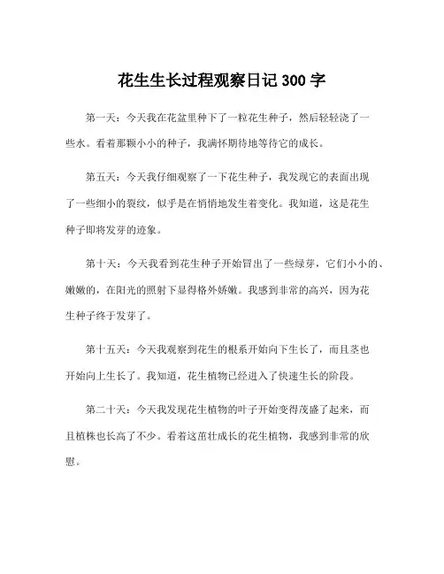 花生生长过程观察日记300字
