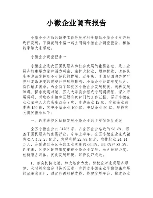 小微企业调查报告