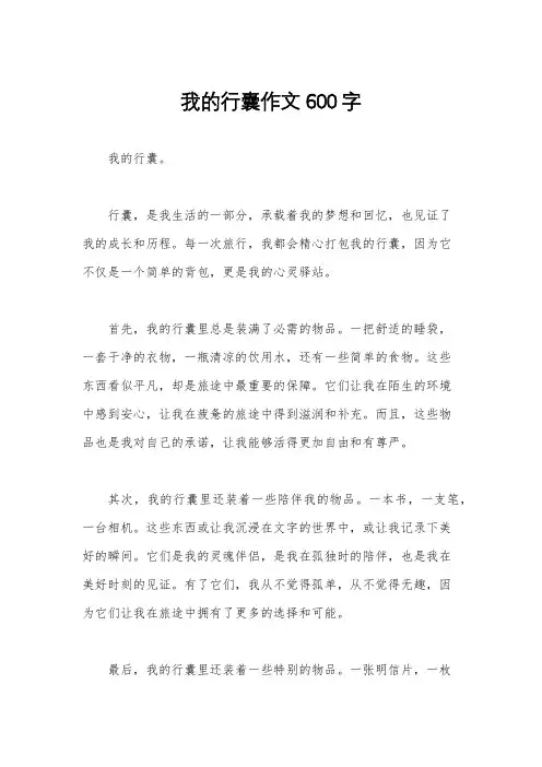 我的行囊作文600字