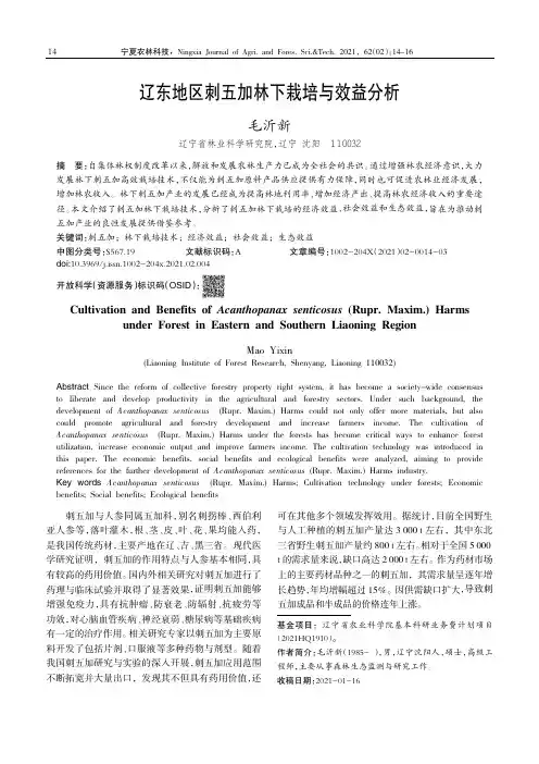 辽东地区刺五加林下栽培与效益分析
