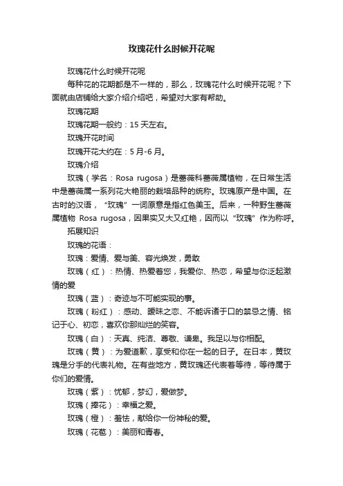 玫瑰花什么时候开花呢