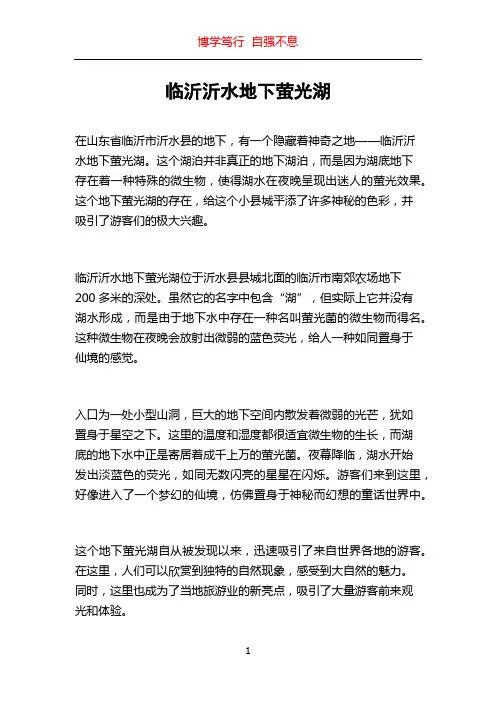 临沂沂水地下萤光湖