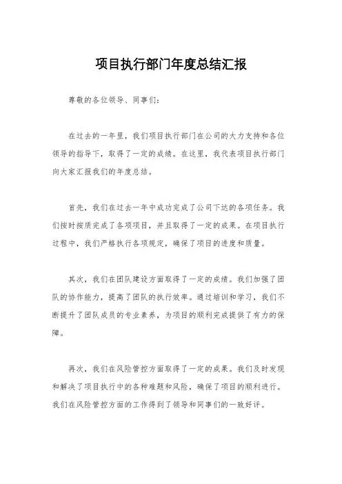 项目执行部门年度总结汇报