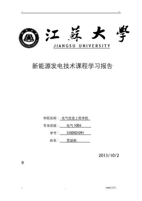 新能源发电技术报告