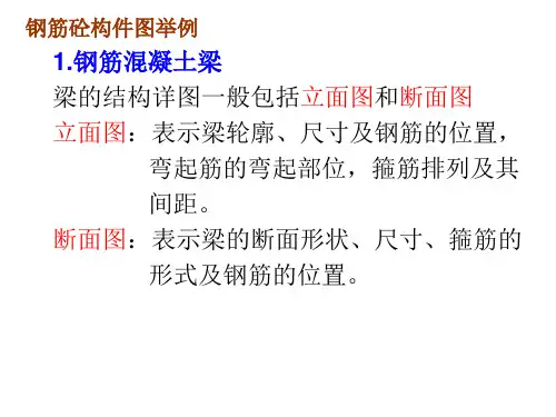 钢筋砼构件图举例