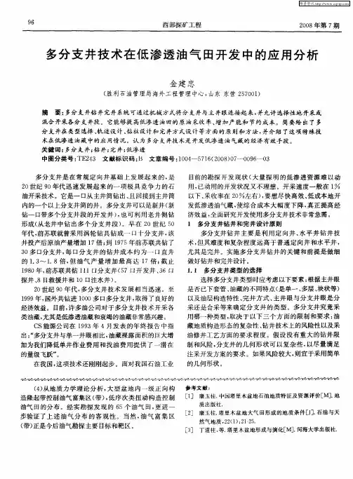 多分支井技术在低渗透油气田开发中的应用分析