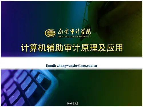 第3章计算机辅助审计_审计软件