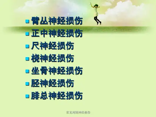 常见周围神经损伤