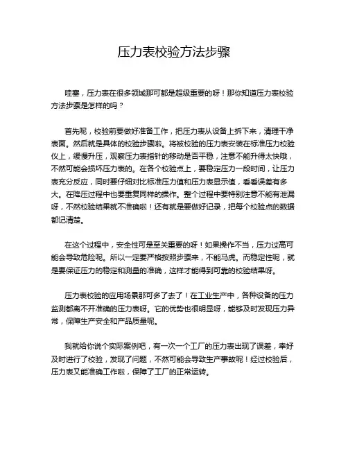 压力表校验方法步骤