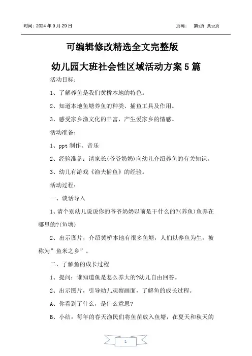 幼儿园大班社会性区域活动方案5篇精选全文完整版