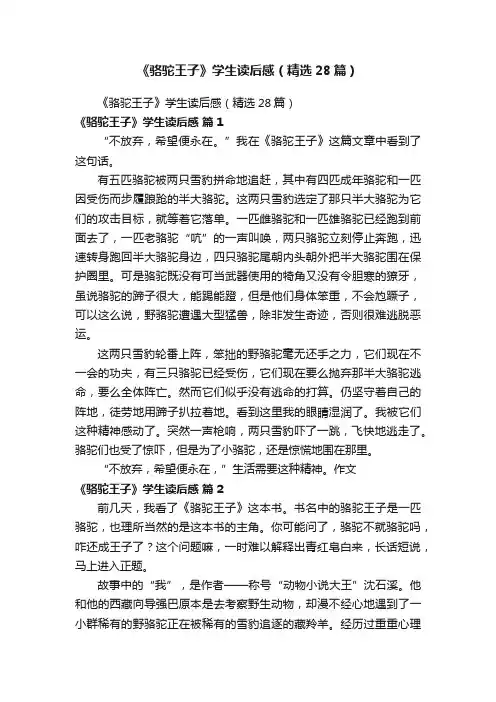《骆驼王子》学生读后感（精选28篇）
