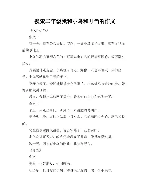 搜索二年级我和小鸟和叮当的作文