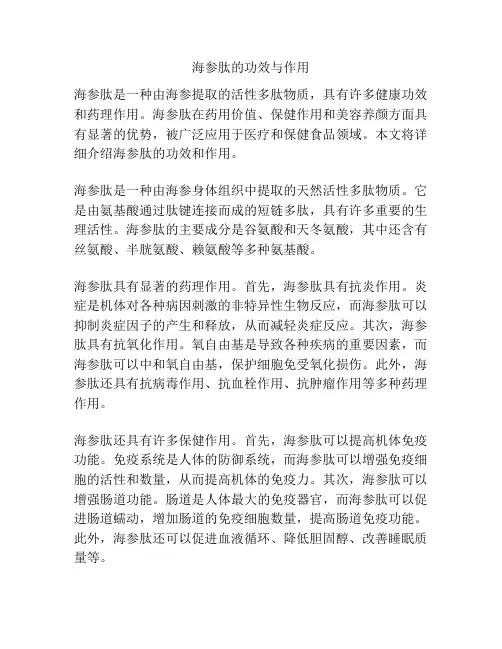 海参肽的功效与作用