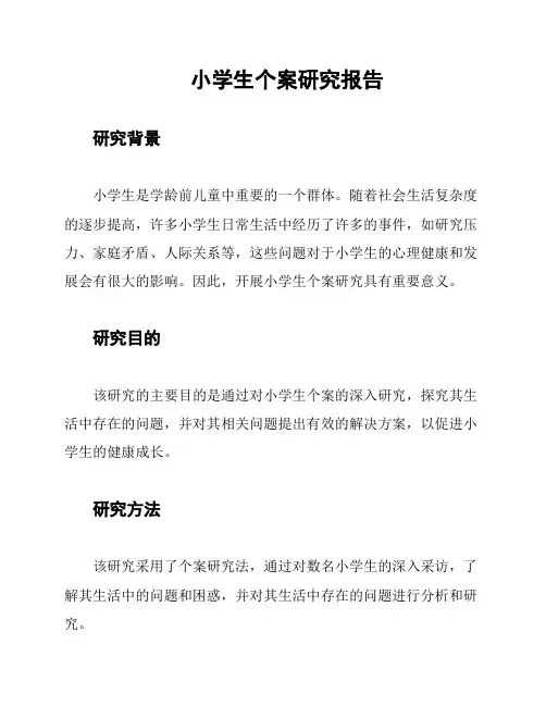 小学生个案研究报告