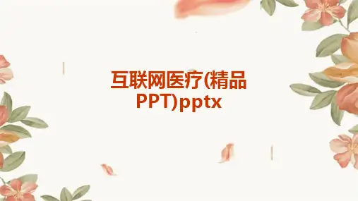 互联网医疗(精品PPT)pptx