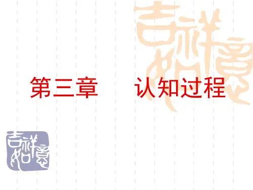 心理学第三章认知过程(1)