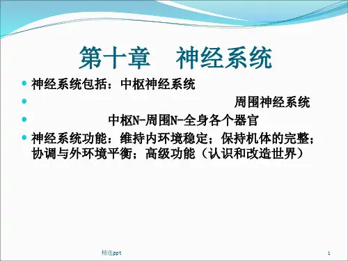 生理学基础第十章 神经系统