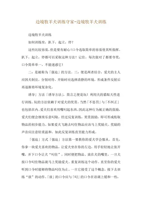 边境牧羊犬训练守家-边境牧羊犬训练