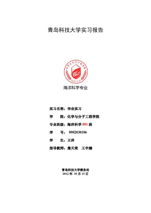 毕业实习报告模板,青岛科技大学,青科大,海洋化学