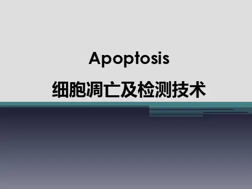 细胞凋亡及检测技术