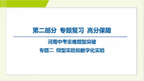 2024年中考化学总复习第二部分专题复习专题二 微型实验和数字化实验