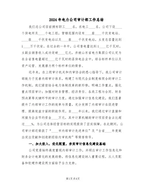 2024年电力公司审计部工作总结（二篇）