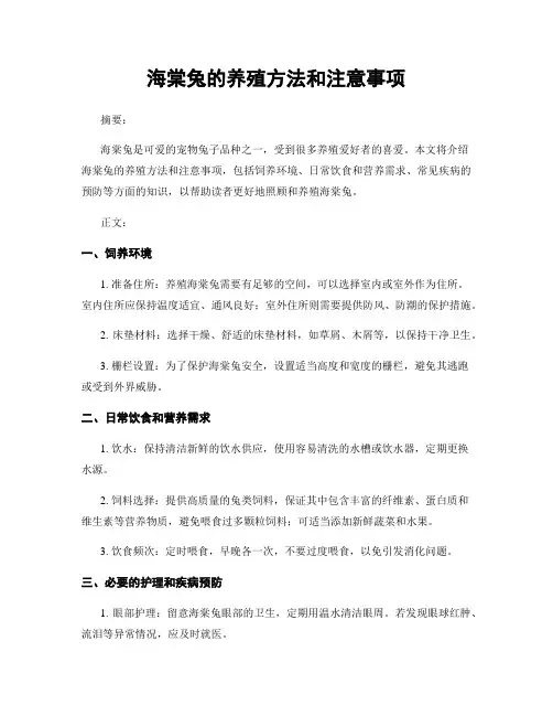 海棠兔的养殖方法和注意事项
