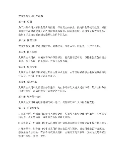 大额资金管理制度范本