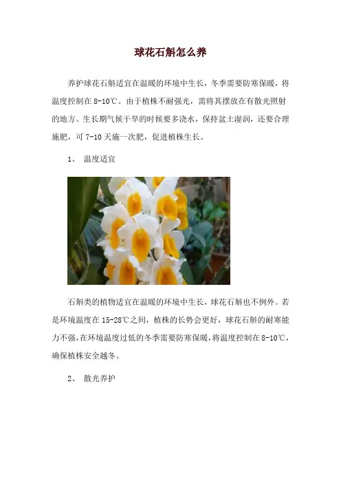 球花石斛怎么养
