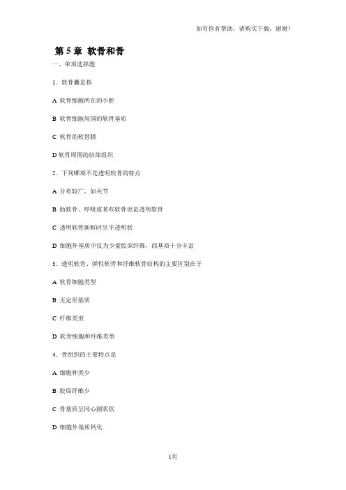 组织学与胚胎学练习二
