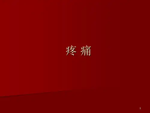 疼 痛PPT精选课件