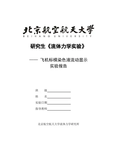 北京航空航天大学五系流体力学实验染色液流动显示实验报告