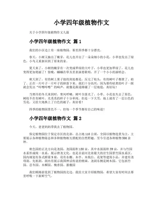 小学四年级植物作文