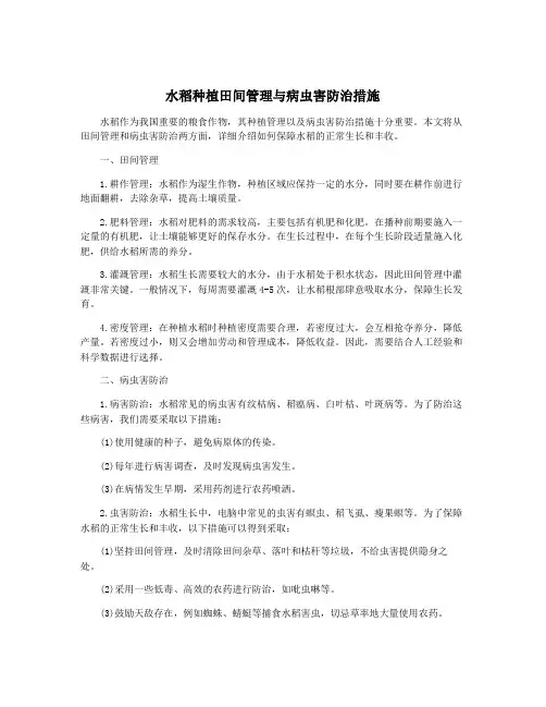 水稻种植田间管理与病虫害防治措施