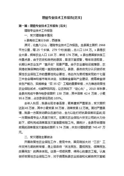 理赔专业技术工作报告[范文]