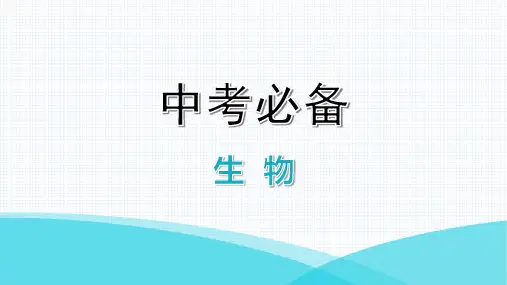 最新人教版生物(中考复习)七年级上册综合测试卷