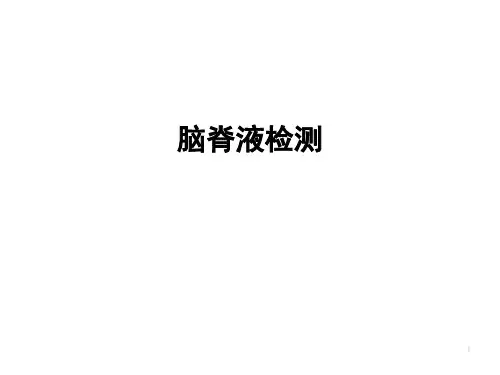 脑脊液检测ppt课件