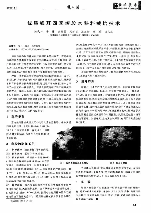 优质银耳四季短段木熟料栽培技术
