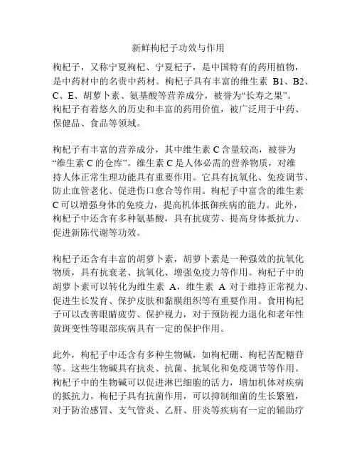 新鲜枸杞子功效与作用