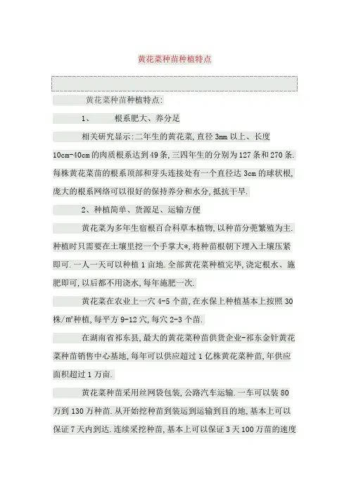 黄花菜种苗种植特点