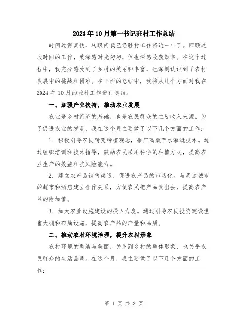 2024年10月第一书记驻村工作总结