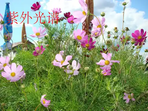 紫外光谱详解