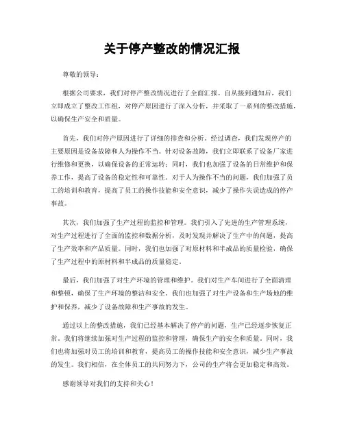关于停产整改的情况汇报