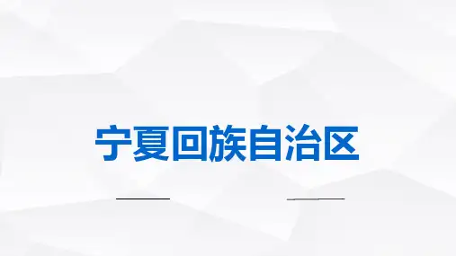 宁夏回族自治区